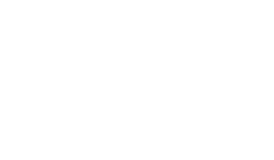 alma-consulting-logo-blanc